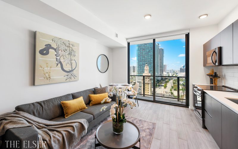TheElser_Studio_LivingView